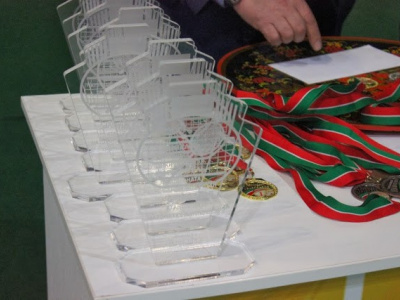 Чемпионат РТ по бадминтону 2014 - финальные матчи